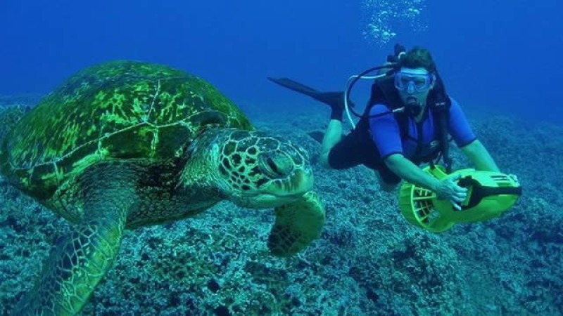 Antalya Diving