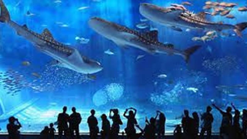 Antalya Tunnel Aquarium