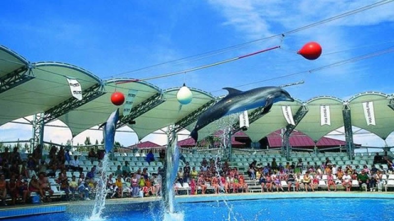 Antalya Dolphin Show